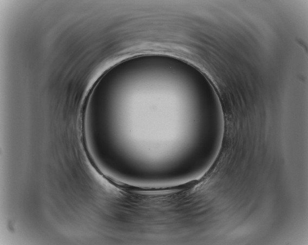 X0000097821531200803141129