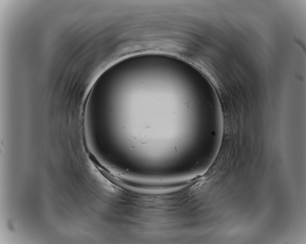 X0000097821532200803141129