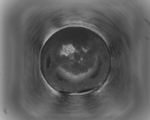 X0000097821533200803141129