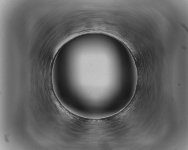 X0000097821534200803141129