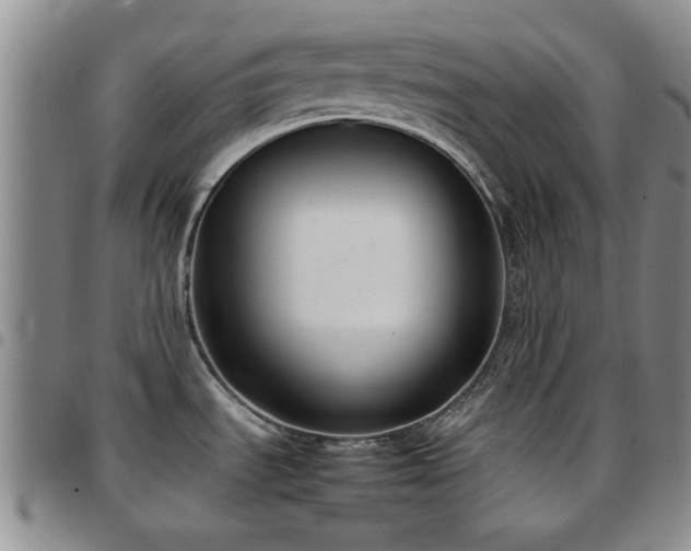 X0000097821535200803141129