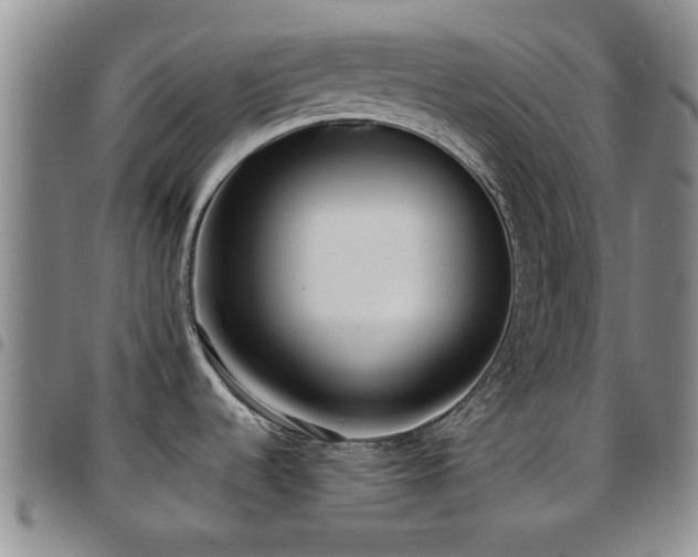 X0000097821536200803141129