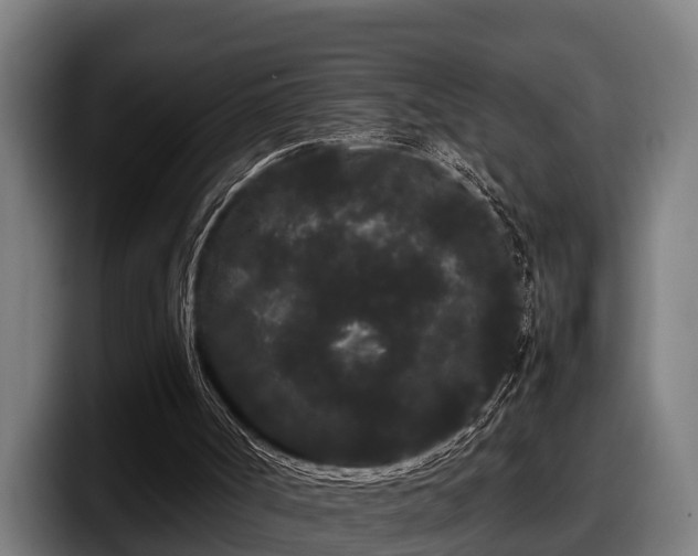 X0000097820002200803201447