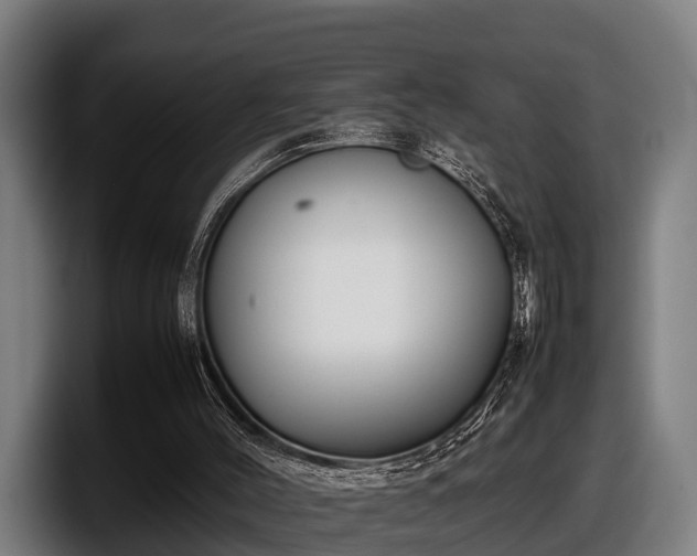 X0000097820004200803201447