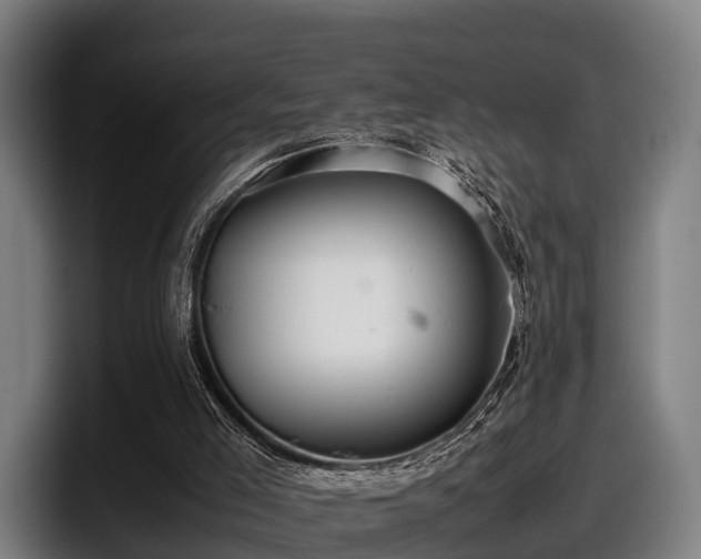 X0000097820005200803201447