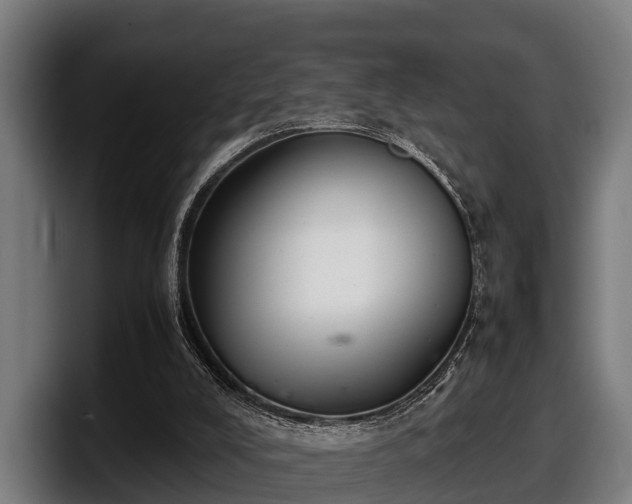 X0000097820008200803201447