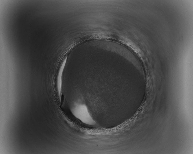 X0000097820009200803201447