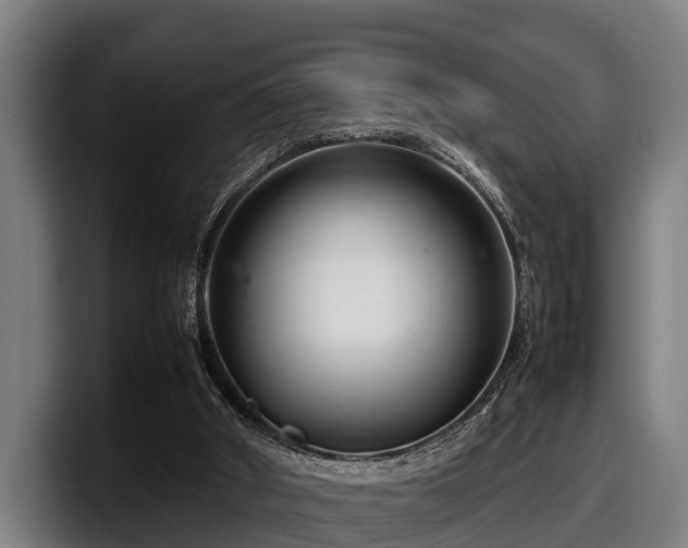 X0000097820010200803201447