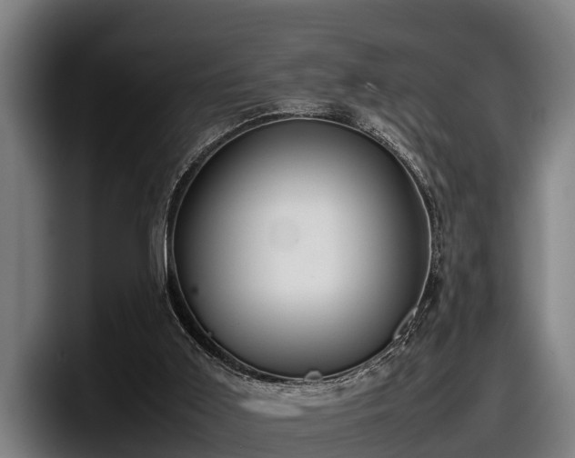 X0000097820011200803201447