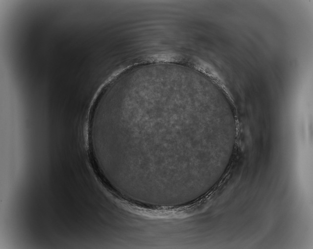 X0000097820012200803201446