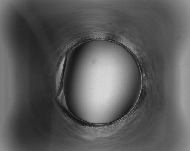 X0000097820013200803201446