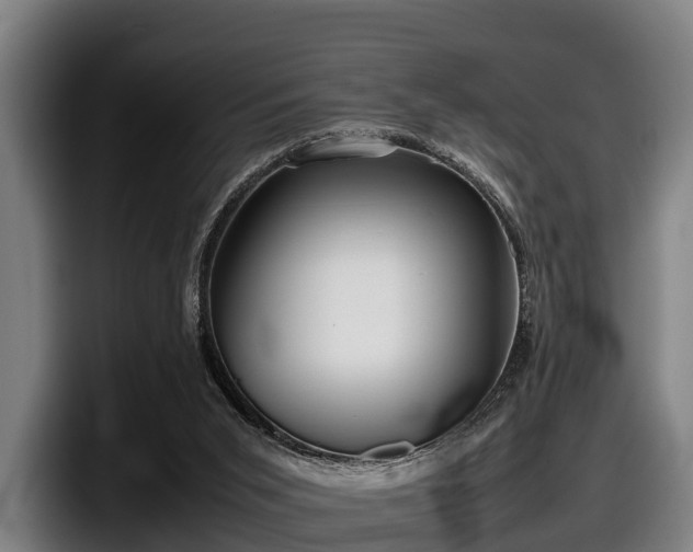 X0000097820015200803201446