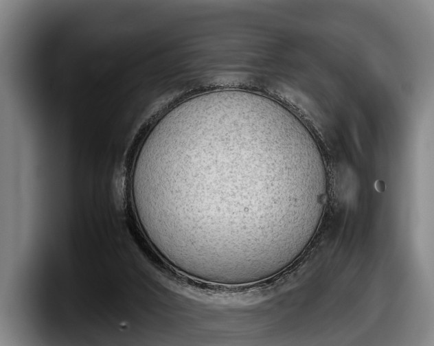 X0000097820016200803201446