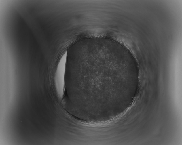 X0000097820017200803201446