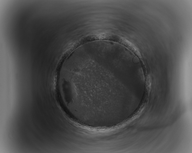 X0000097820018200803201446