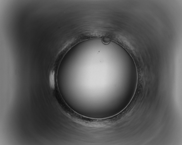 X0000097820020200803201446