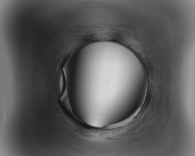 X0000097820021200803201446