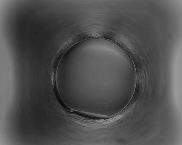 X0000097820023200803201446