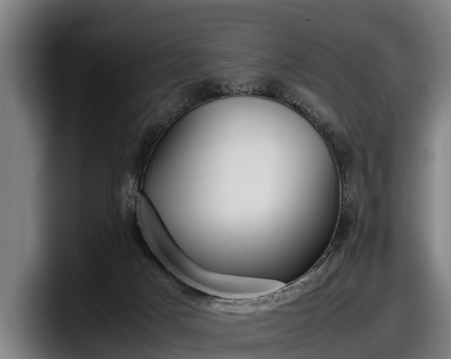 X0000097820025200803201446