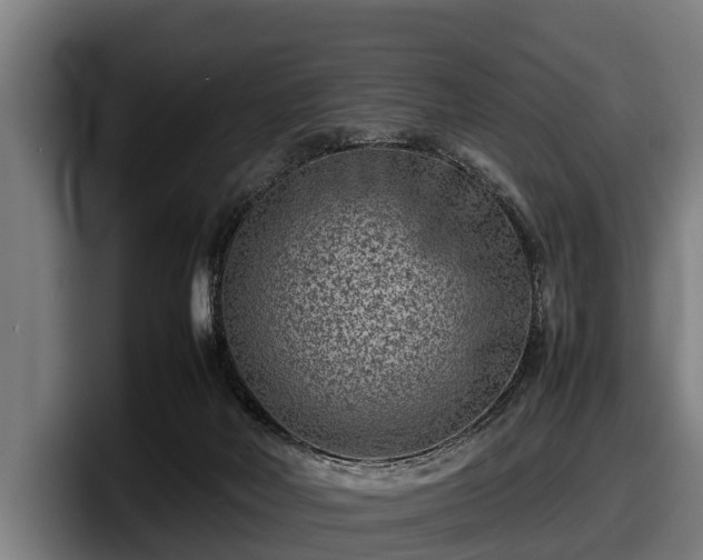 X0000097820026200803201446