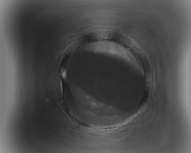 X0000097820029200803201446