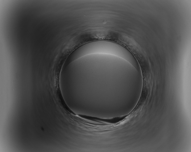 X0000097820031200803201446