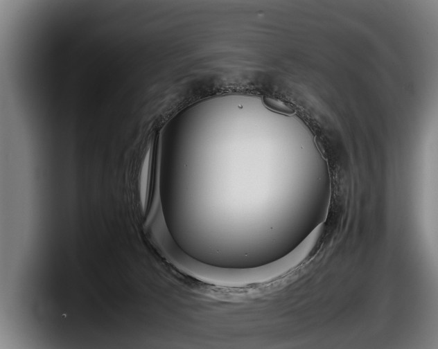 X0000097820033200803201446