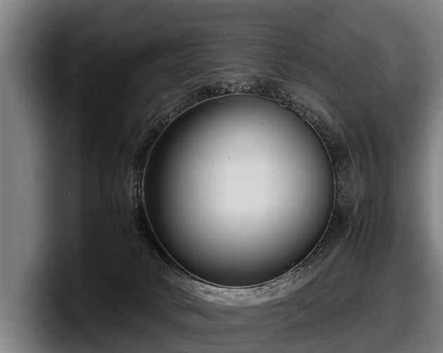 X0000097820034200803201446