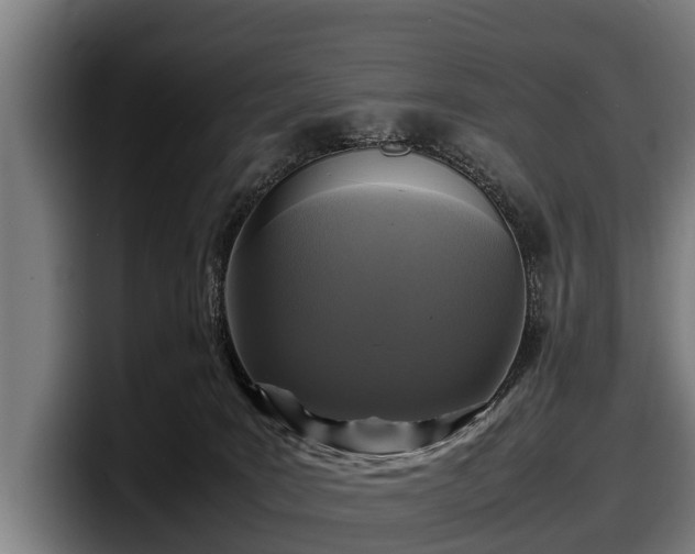 X0000097820035200803201446