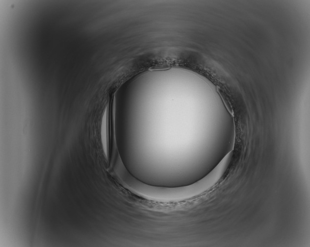 X0000097820037200803201446