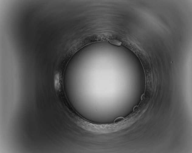 X0000097820038200803201446