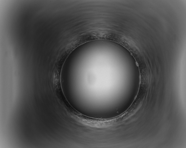 X0000097820040200803201446