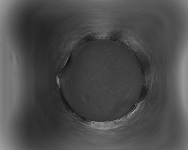 X0000097820041200803201446