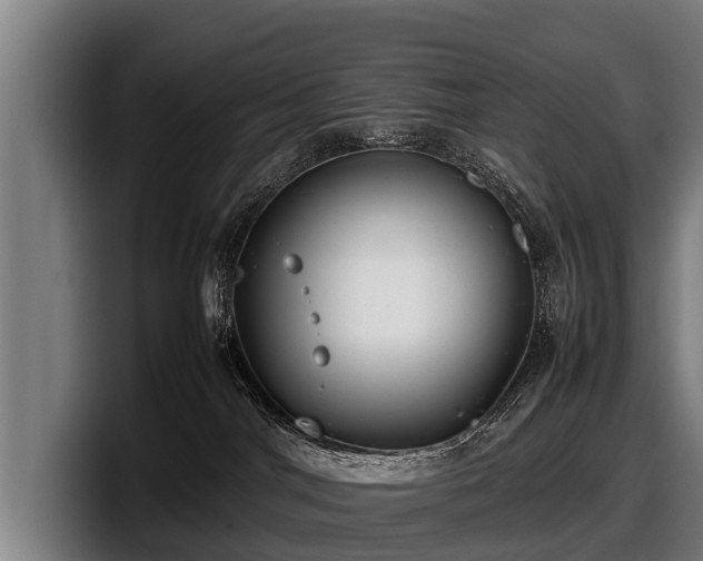 X0000097820044200803201446