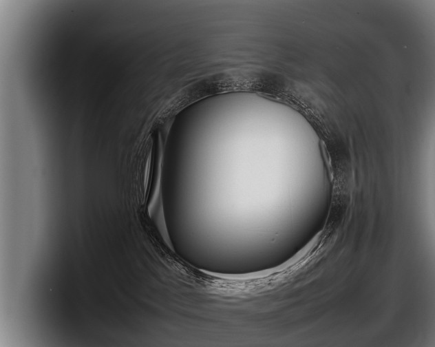 X0000097820045200803201446