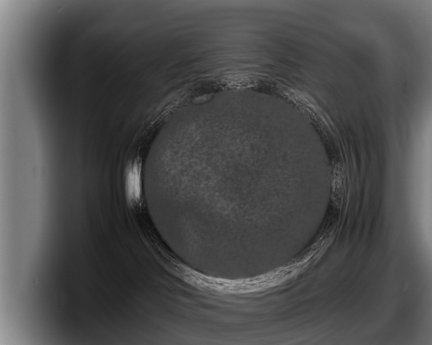 X0000097820046200803201446