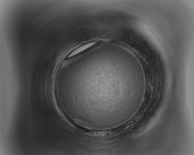 X0000097820049200803201445