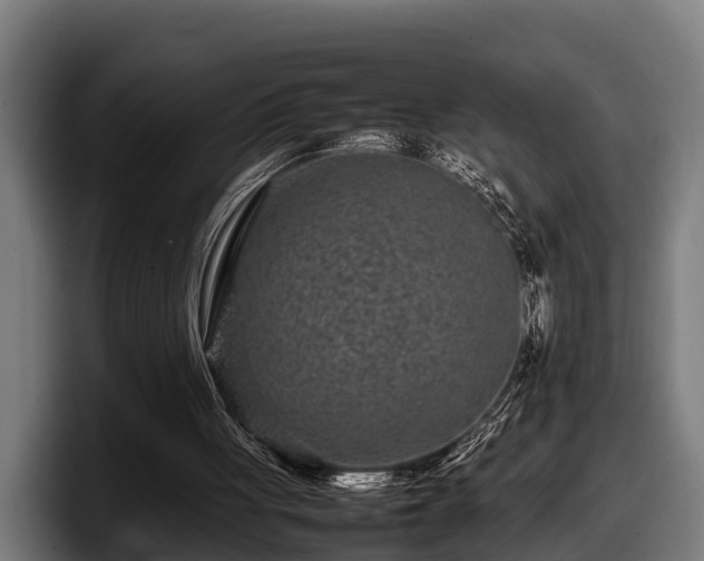 X0000097820051200803201445