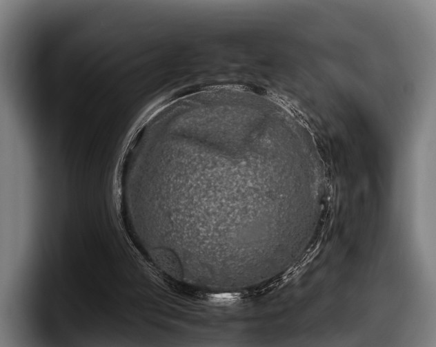 X0000097820053200803201445