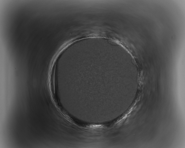 X0000097820055200803201445