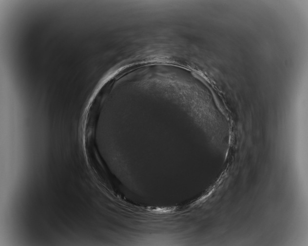 X0000097820056200803201445