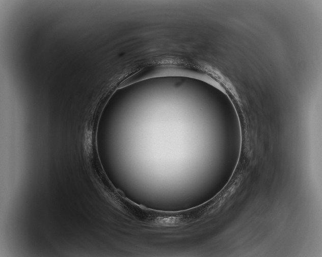 X0000097820057200803201446