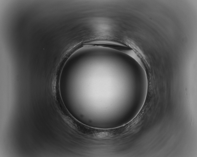 X0000097820058200803201446