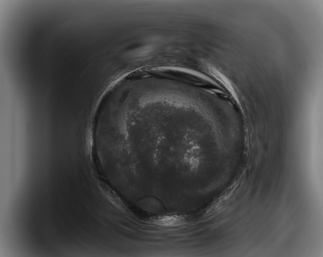 X0000097820059200803201446