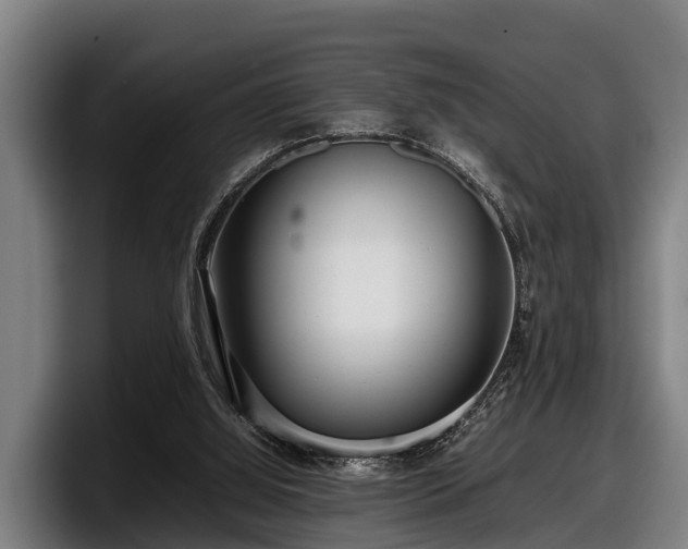 X0000097820060200803201446