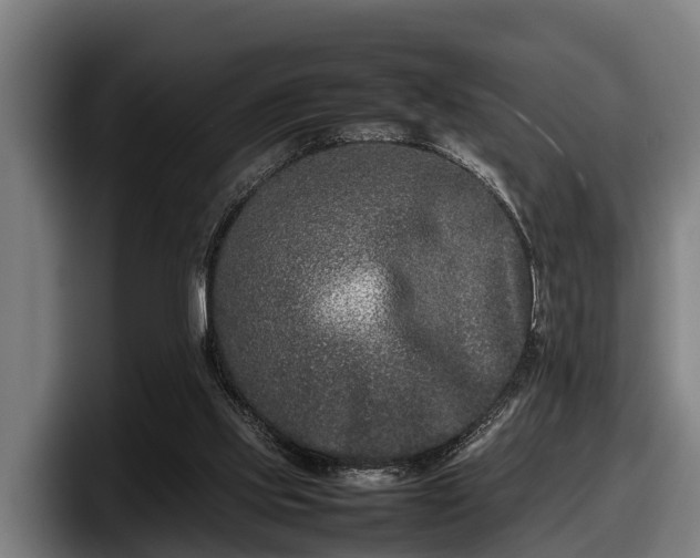 X0000097820061200803201446