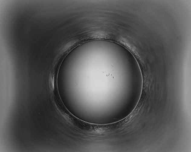 X0000097820062200803201446