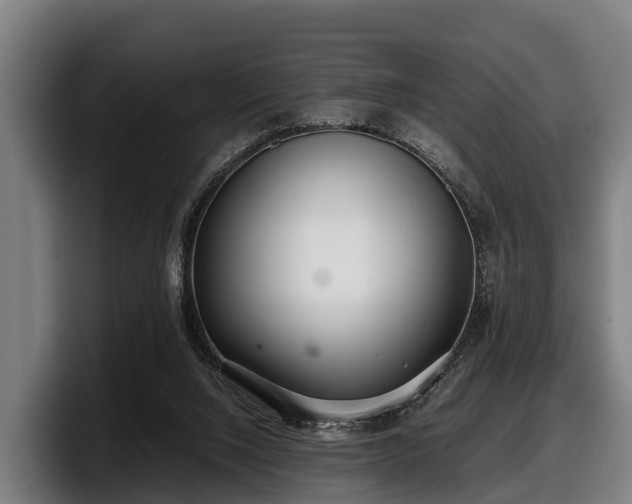 X0000097820064200803201446