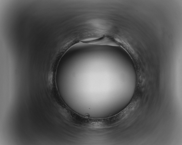 X0000097820066200803201446