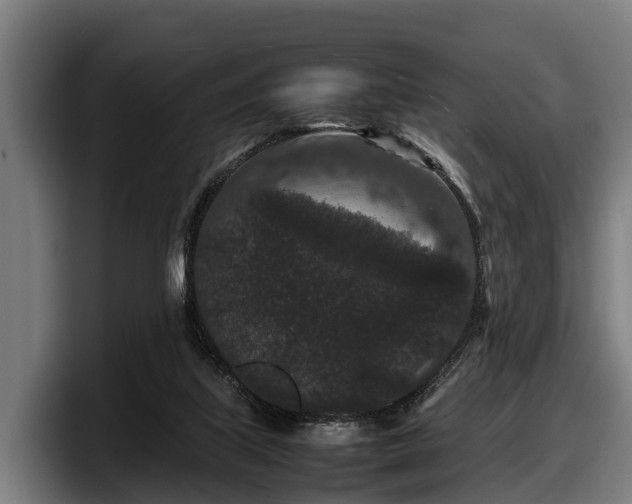 X0000097820067200803201446